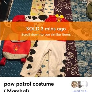 paw patrol costume ( Marshal)